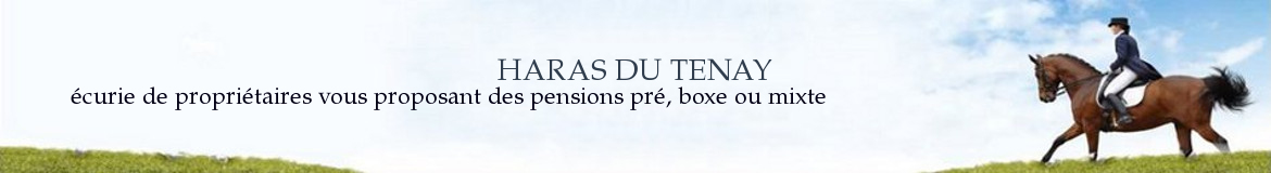 HARAS DU TENAY